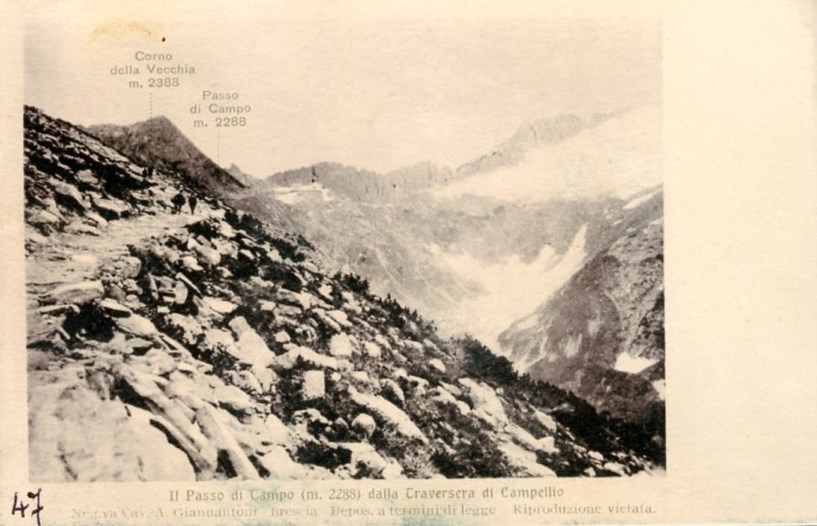 Il passo di campo