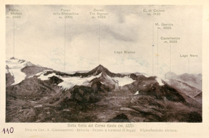 Dalla vetta del Corno Gavia