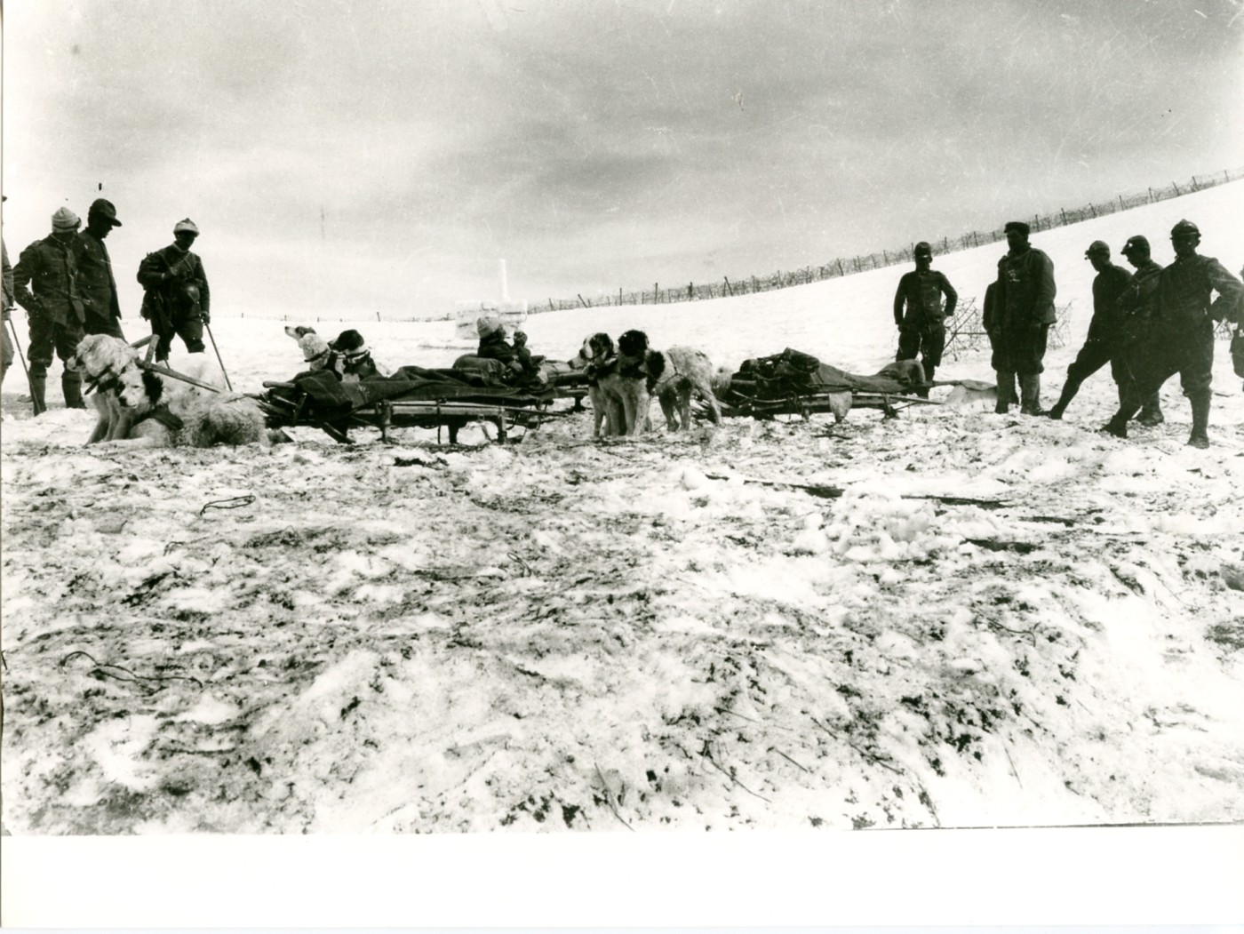 Ghiacciaio della Lobbia