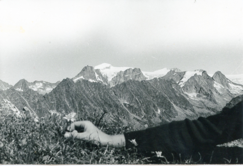 Gruppo dell'Adamello