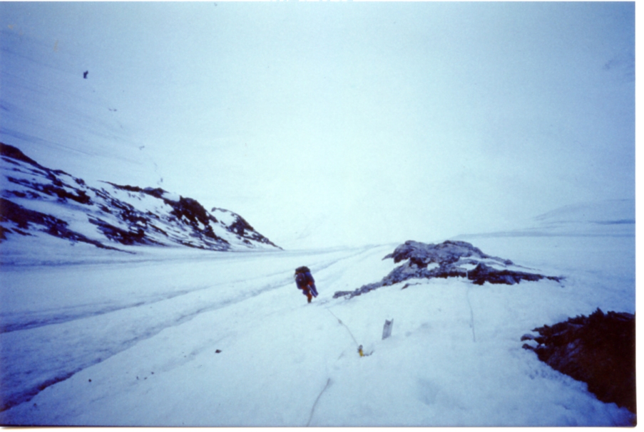 Gasherbrum IV La salita sopra il campo 1