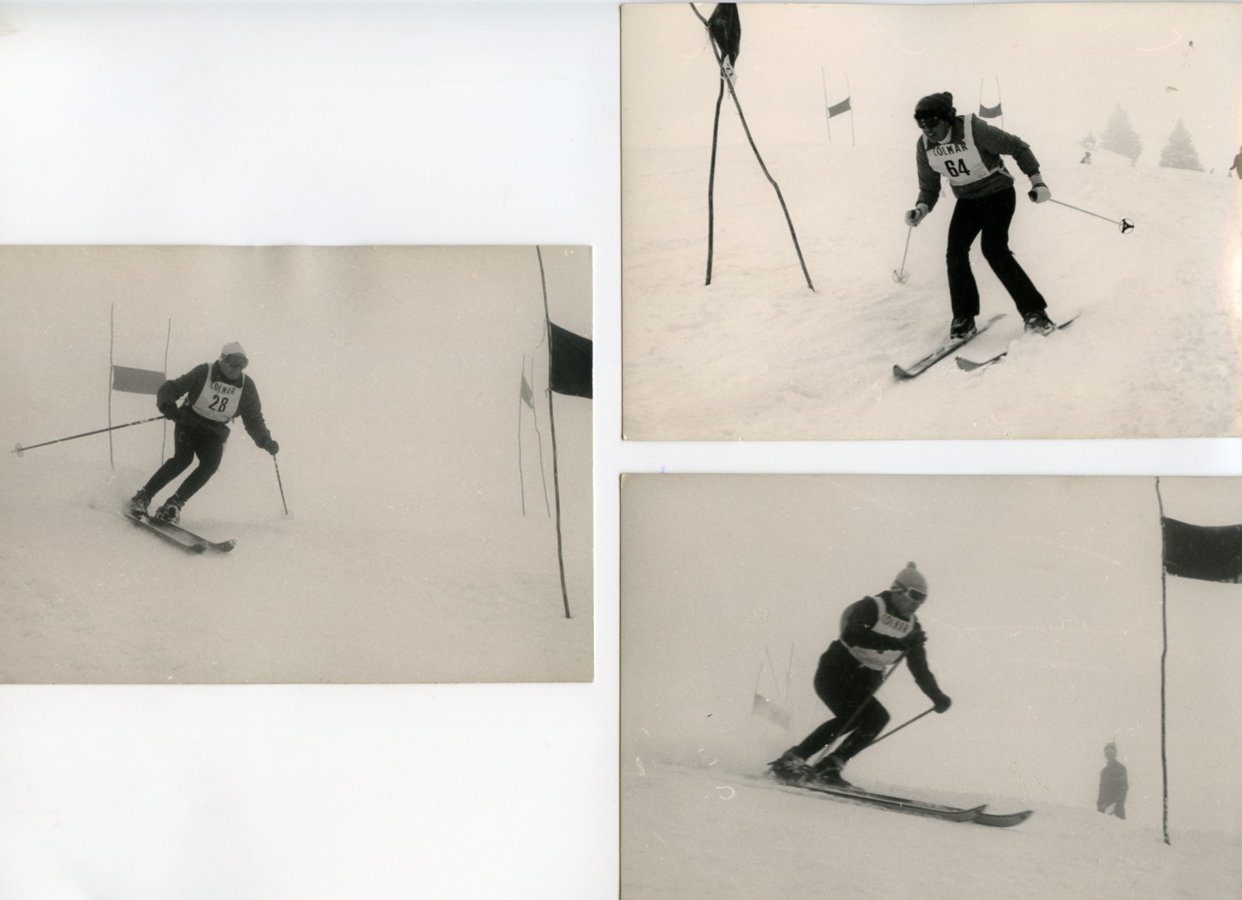 Foto gare e premiazioni