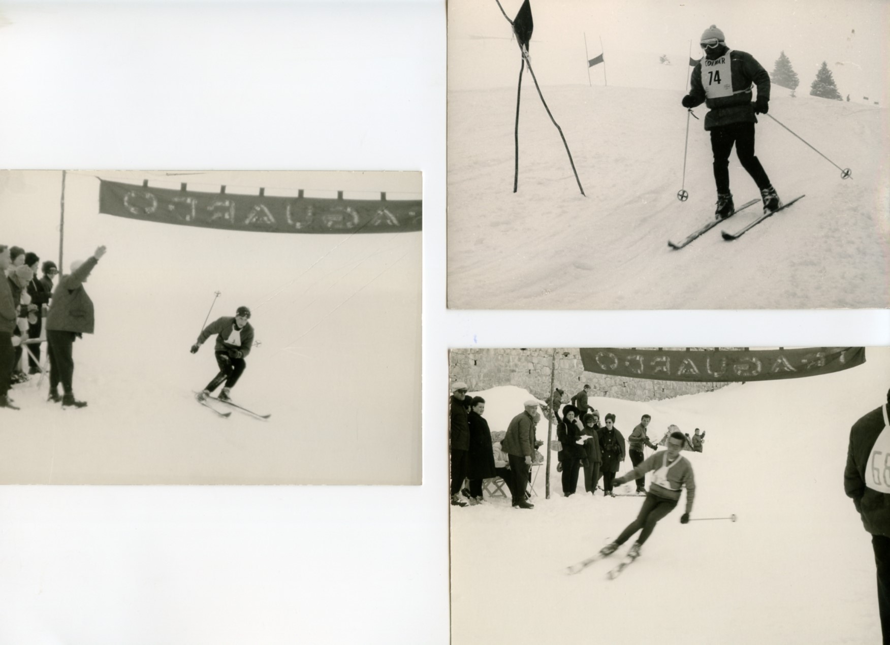 Foto gare e premiazioni