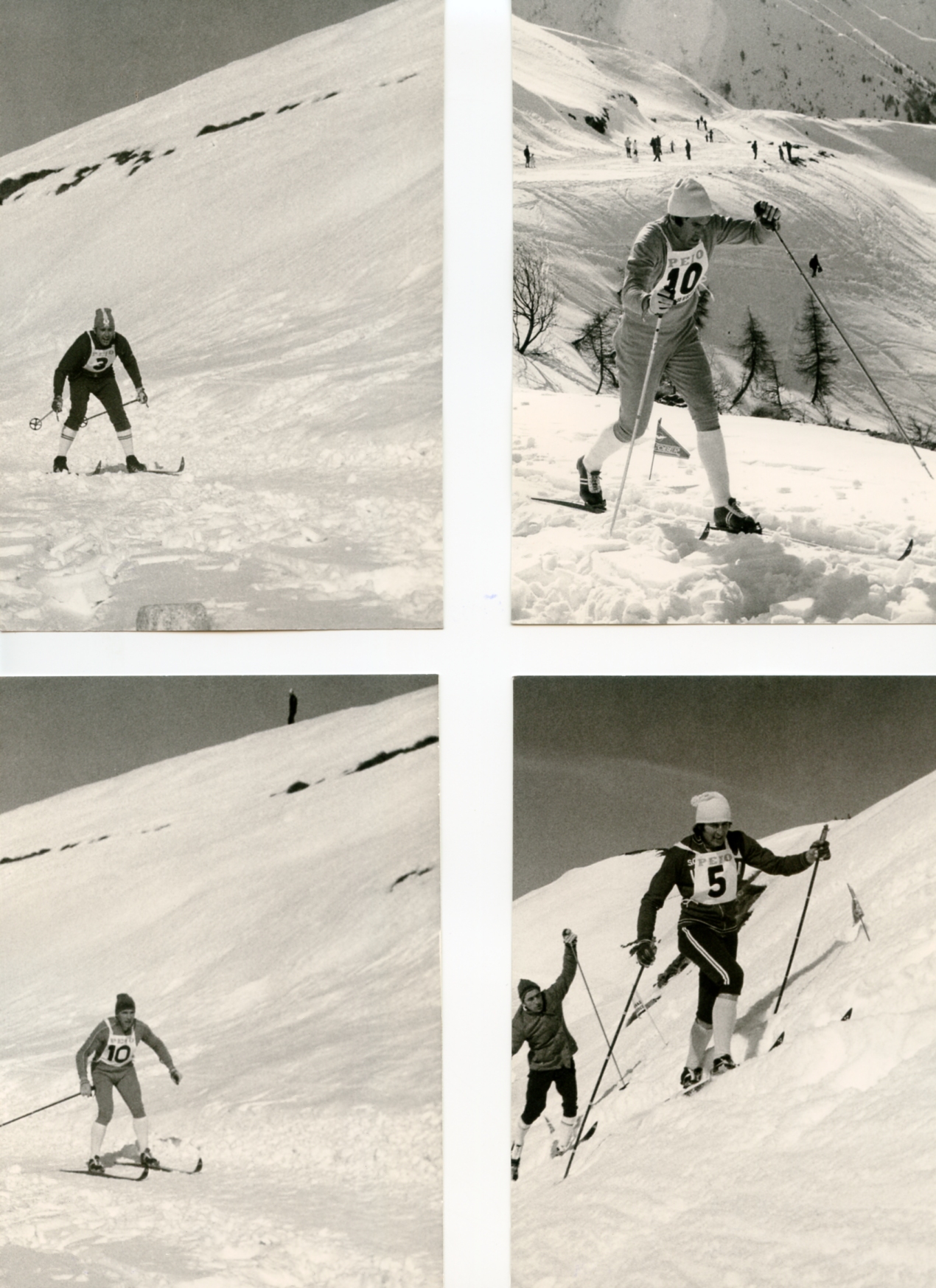 Foto gare e premiazioni
