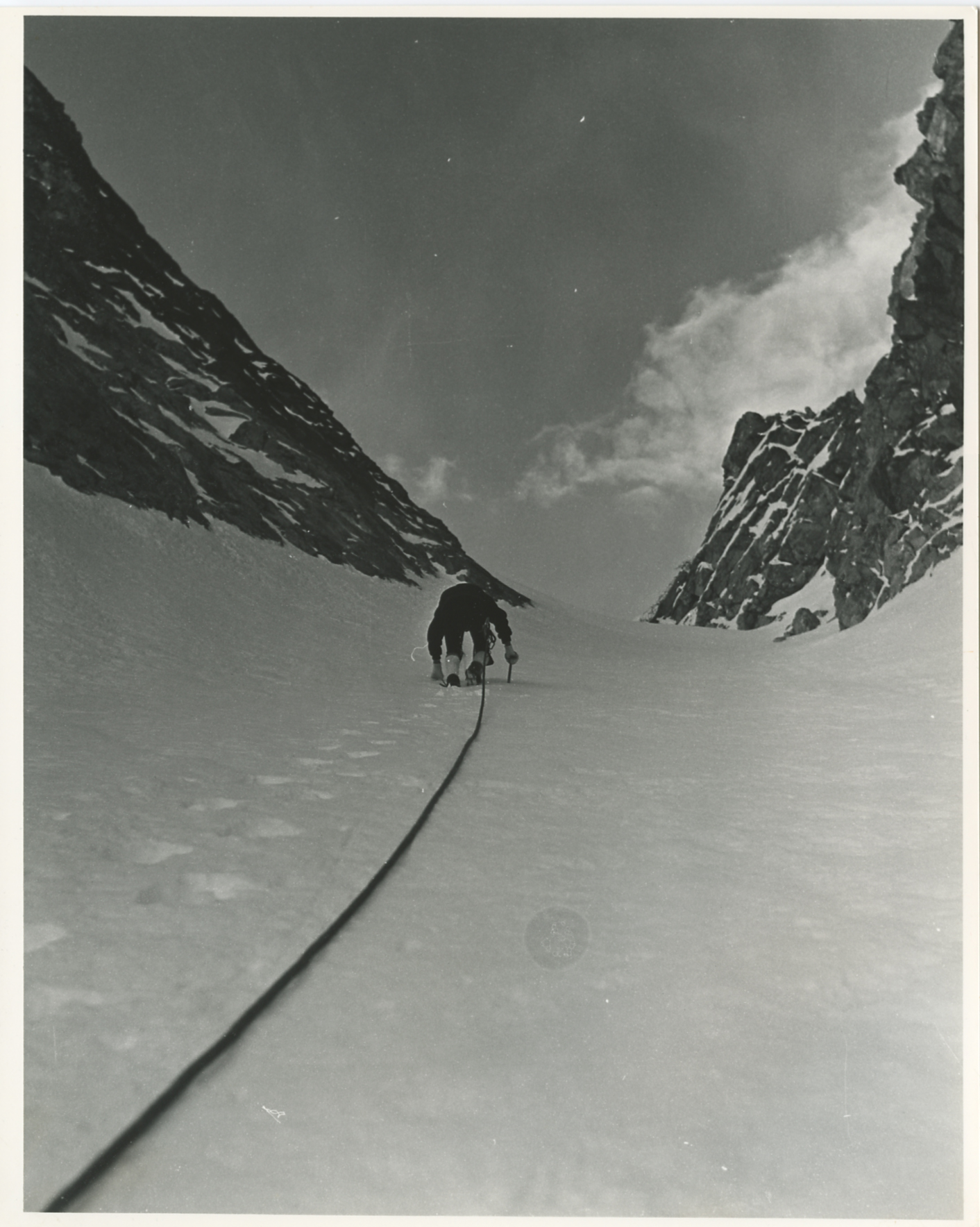 Alpinista